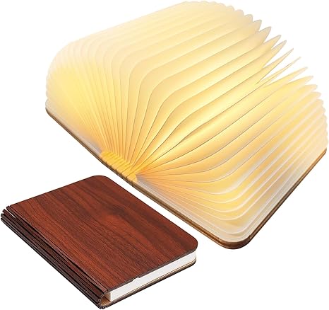 Renvia - Enchanted Book Lamp Open Pages Desk Light Warm Glow