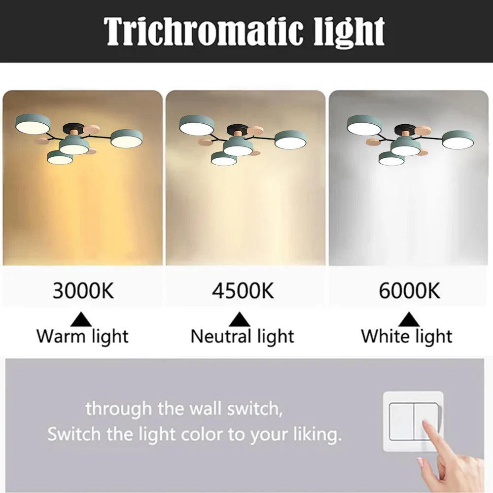 Ornava - Modern LED Flush Mount Ceiling Light Chandelier for Home