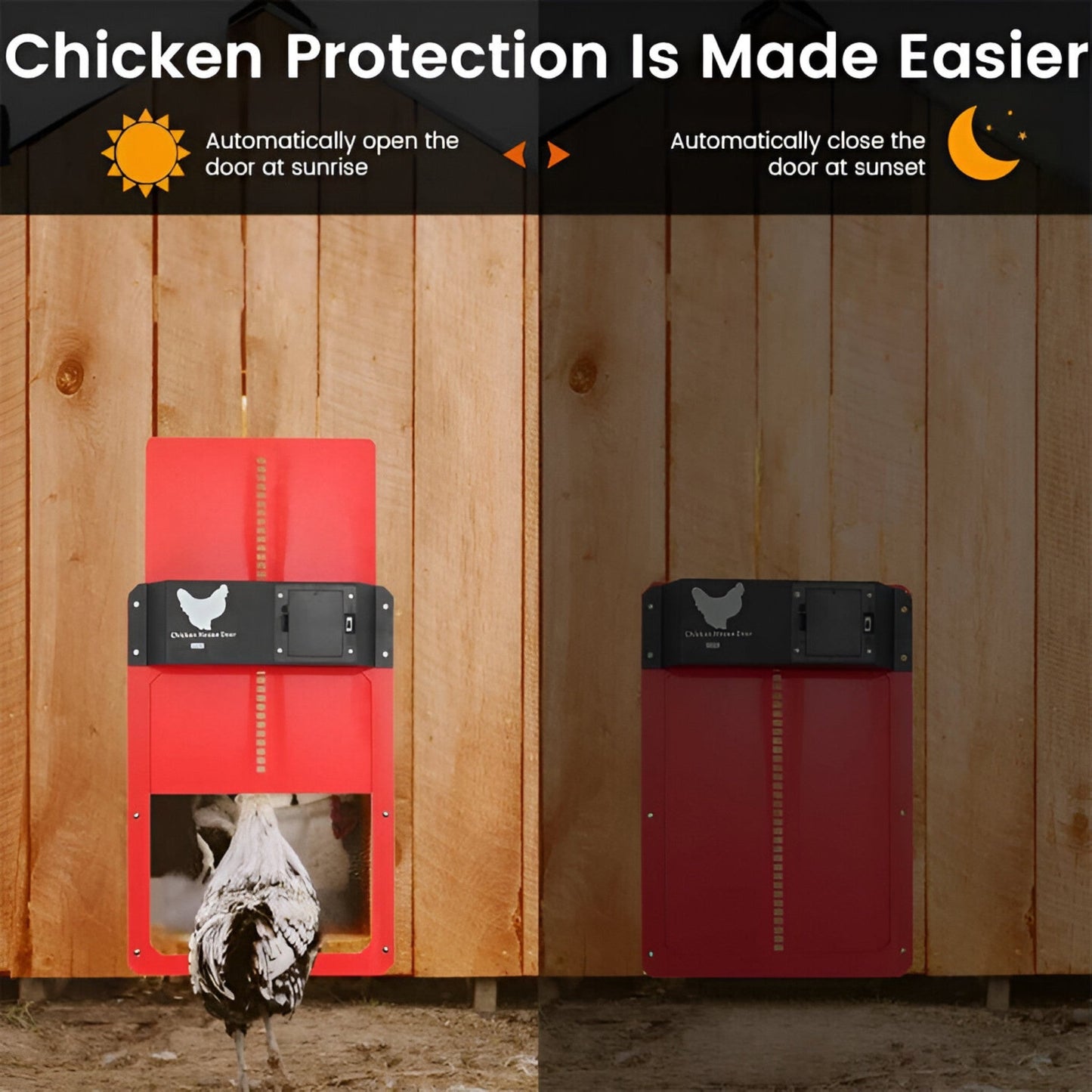Ornora - Pluimvee Pro Automatic Chicken Door For Poultry House