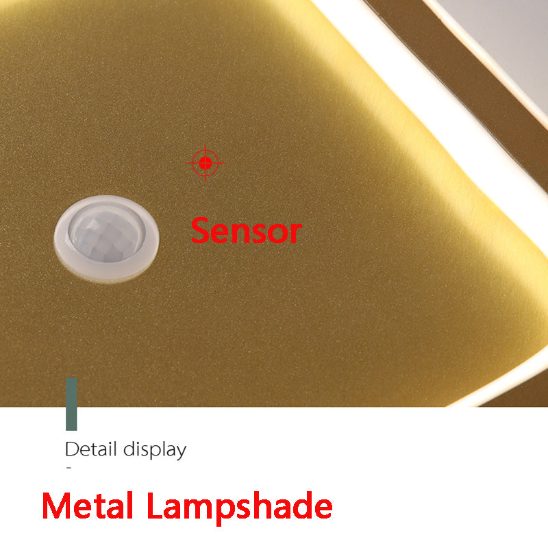 Petalra - Smart Motion Sensor Ceiling Light LED Energy Efficient