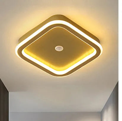 Petalra - Smart Motion Sensor Ceiling Light LED Energy Efficient