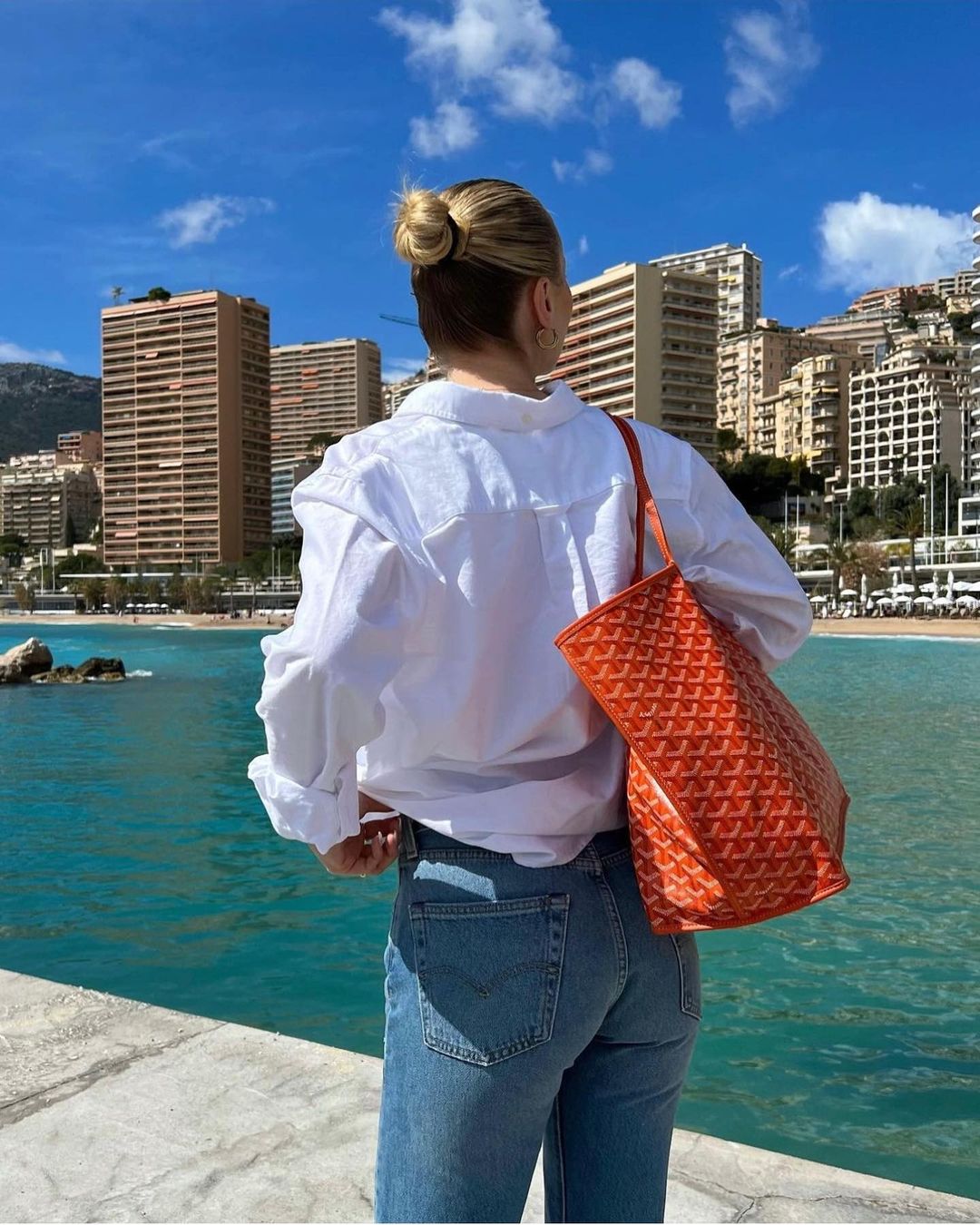 Liv - Lux Tote Bag Spacious Everyday Carryall Style