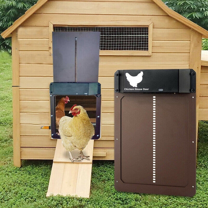 Ornora - Pluimvee Pro Automatic Chicken Door For Poultry House