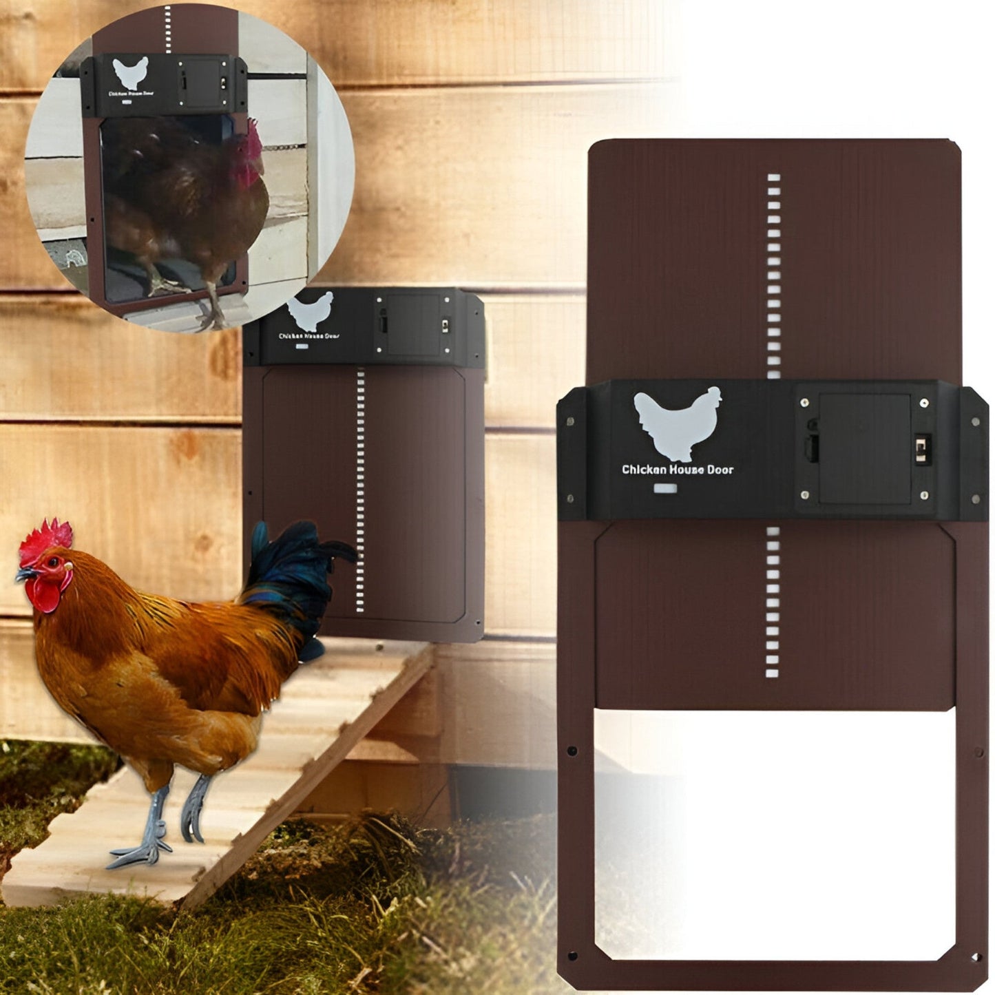 Ornora - Pluimvee Pro Automatic Chicken Door For Poultry House
