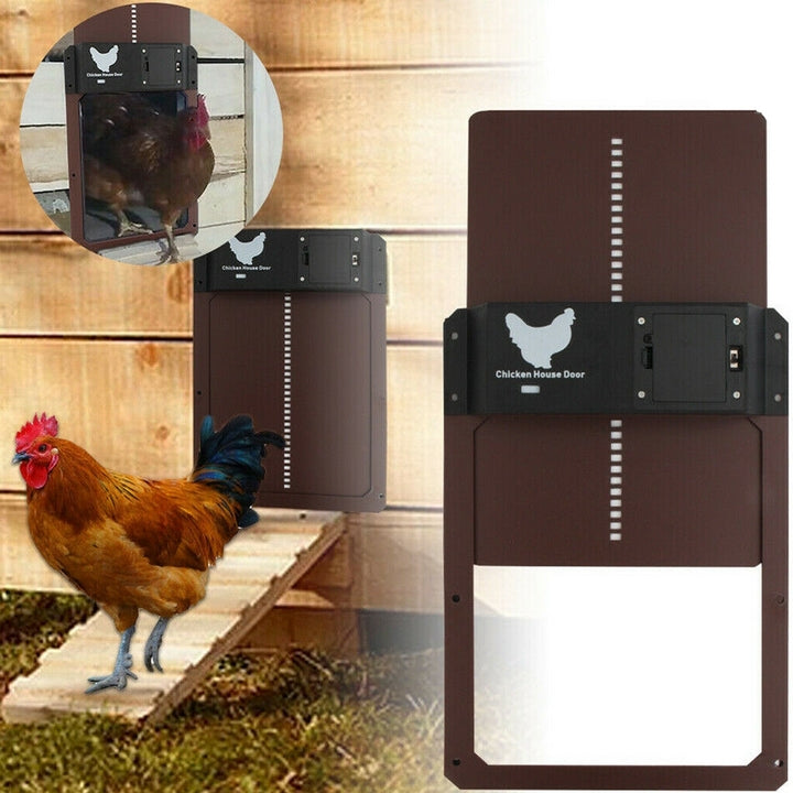 Ornora - Pluimvee Pro Automatic Chicken Door For Poultry House