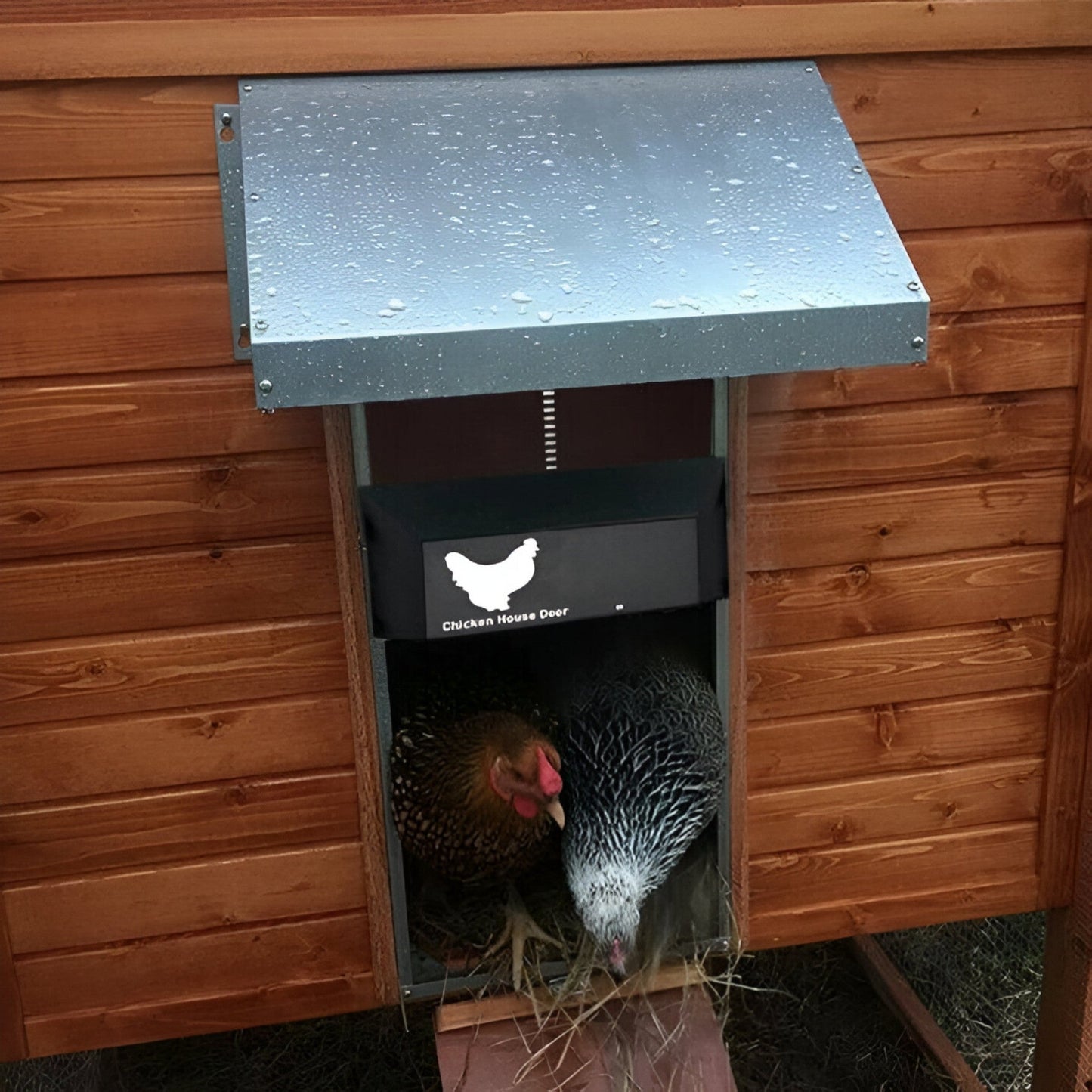 Ornora - Pluimvee Pro Automatic Chicken Door For Poultry House