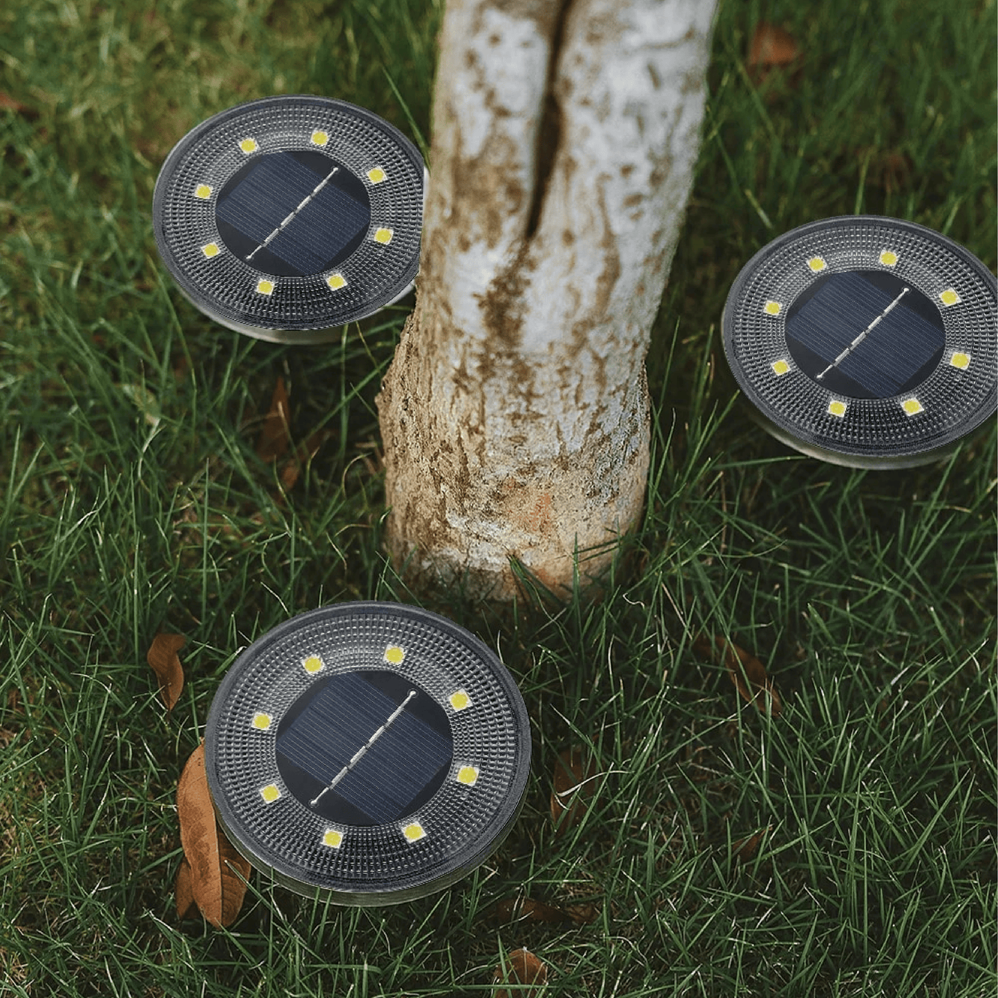 Sonnet - Stylish LED Solar Garden Lights for Eco-Friendly Illumination