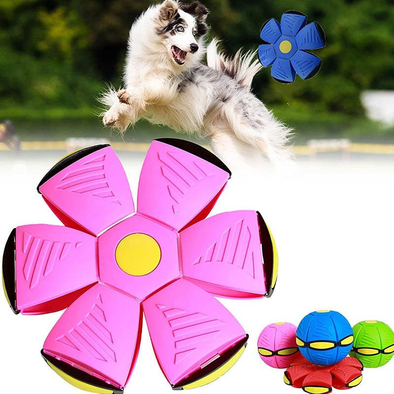 Greenora - Pawsome Magical Flying Saucer Ball For Pets 1 Plus 1 Free