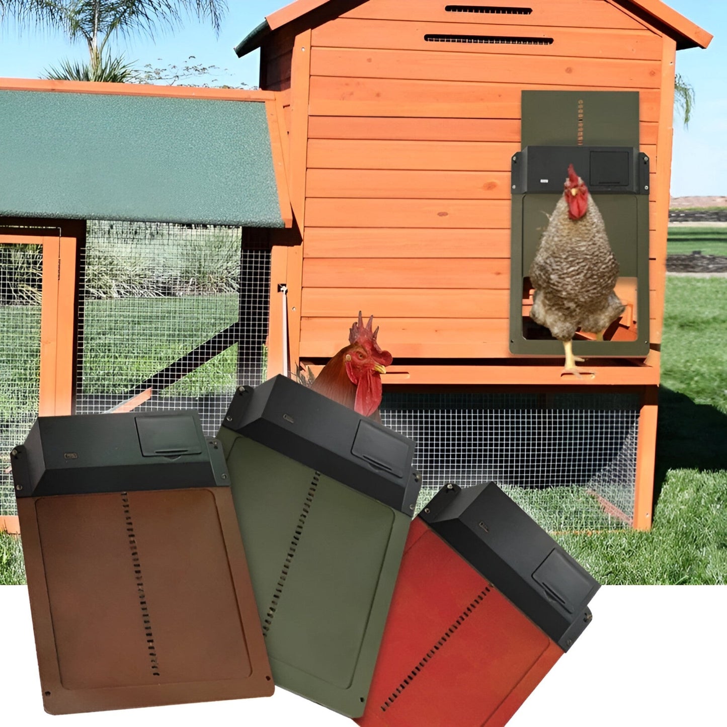 Ornora - Pluimvee Pro Automatic Chicken Door For Poultry House