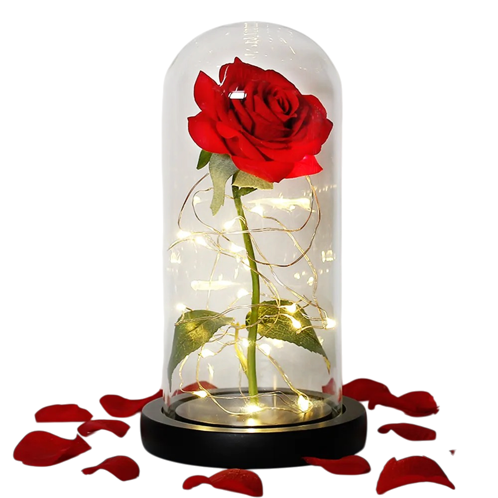 Floréra – Eternal Rose in Glass Dome with LED Light