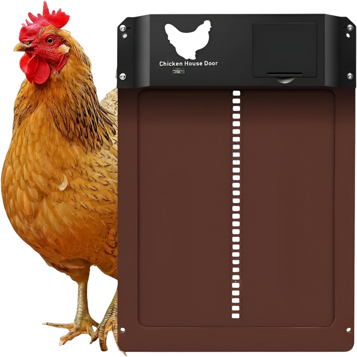 Alena - Automatic Chicken Door with Timer and Light Sensor for Easy Coop Access