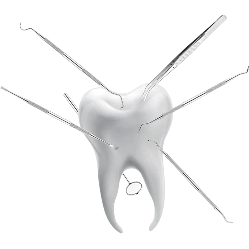 Ainsley - Professional Stainless Steel Dental Explorer and Scraper Set