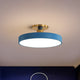 Growvia - Elegant LED Ceiling Light Nordic Style for Bedroom