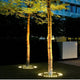 Glowiq - Elegant Outdoor Tree Spotlights Warm White LED Garden Lights for Landscapes
