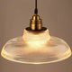 Plantora - LumiVibe Glass Pendant Lamps Elegant Modern Lighting