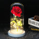 Floréra – Eternal Rose in Glass Dome with LED Light