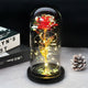 Floréra – Eternal Rose in Glass Dome with LED Light