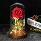 Floréra – Eternal Rose in Glass Dome with LED Light