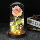 Floréra – Eternal Rose in Glass Dome with LED Light