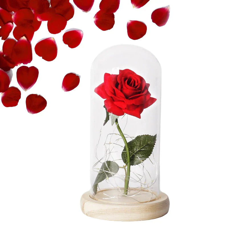 Floréra – Eternal Rose in Glass Dome with LED Light