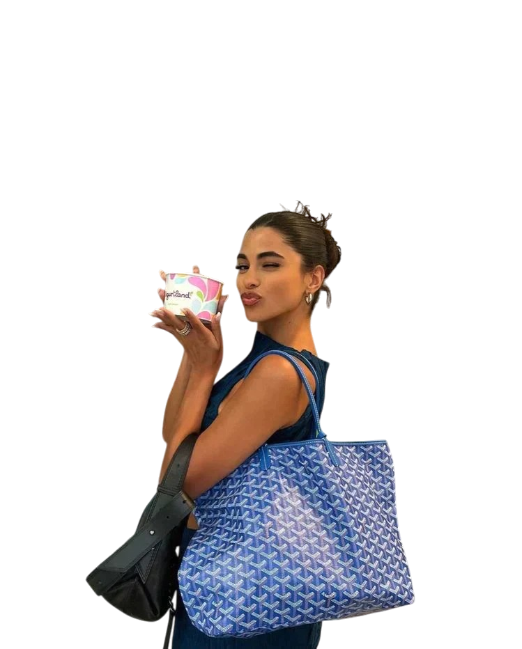 Liv - Lux Tote Bag Spacious Everyday Carryall Style