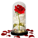 Floréra – Eternal Rose in Glass Dome with LED Light