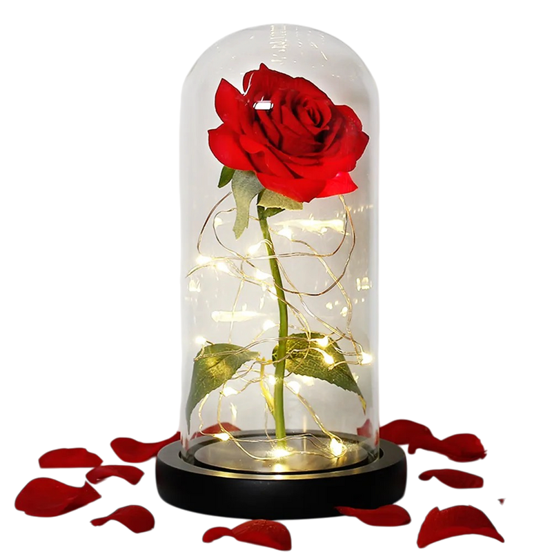 Floréra – Eternal Rose in Glass Dome with LED Light
