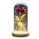 Floréra – Eternal Rose in Glass Dome with LED Light